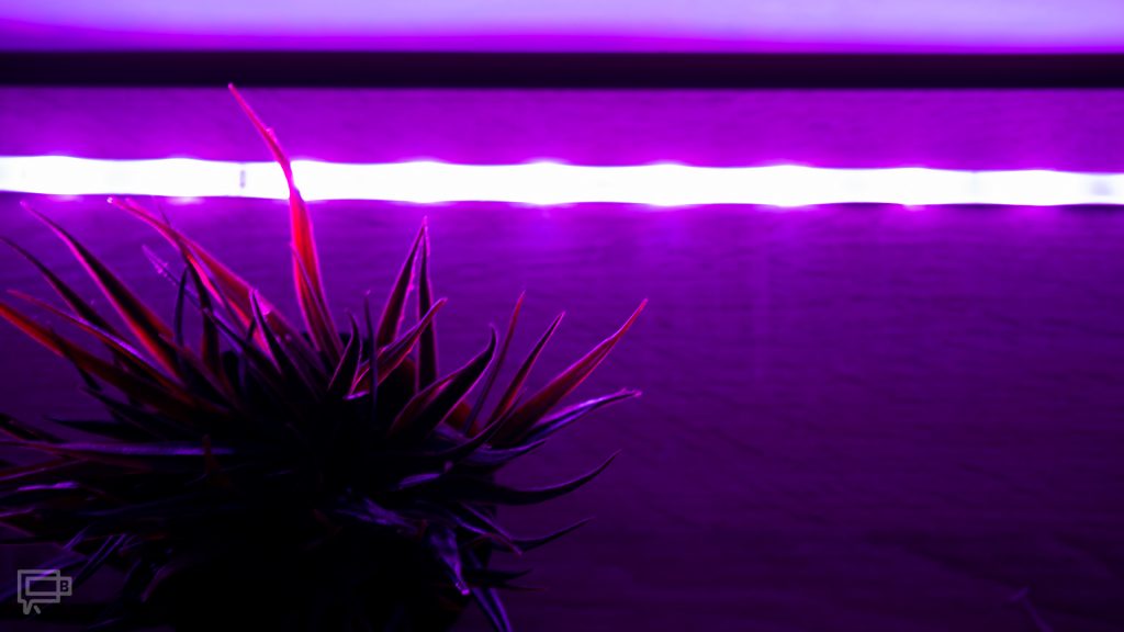 Smart Home z ROOTBLOG: inteligentne oświetlenie domu Yeelight 16 yeelight lightstrip plus z gory fiolet