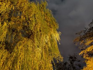 OnePlus 7T Pro McLaren Edition to smartfon prawie kompletny 39 OnePlus 7T Pro McLaren Edition to smartfon prawie kompletny