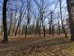 OnePlus 7T Pro McLaren Edition to smartfon prawie kompletny 47 OnePlus 7T Pro McLaren Edition to smartfon prawie kompletny