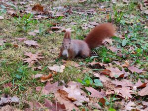 OnePlus 7T Pro McLaren Edition to smartfon prawie kompletny 45 OnePlus 7T Pro McLaren Edition to smartfon prawie kompletny