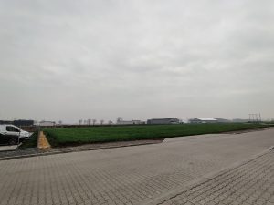 OnePlus 7T Pro McLaren Edition to smartfon prawie kompletny 44 OnePlus 7T Pro McLaren Edition to smartfon prawie kompletny