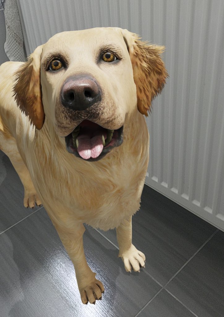 Dzięki Google możemy zobaczyć zwierzęta w naturalnej wielkości bez wychodzenia z domu! 13 Google 3D AR zwierzęta pies