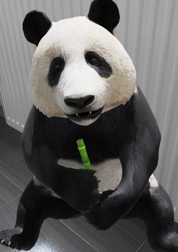 Dzięki Google możemy zobaczyć zwierzęta w naturalnej wielkości bez wychodzenia z domu! 12 Google 3D AR zwierzęta panda