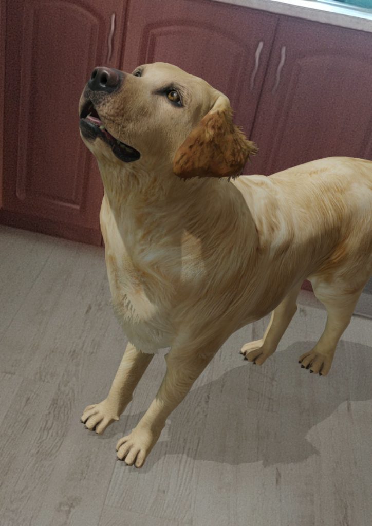 Dzięki Google możemy zobaczyć zwierzęta w naturalnej wielkości bez wychodzenia z domu! 11 Google 3D AR zwierzęta pies