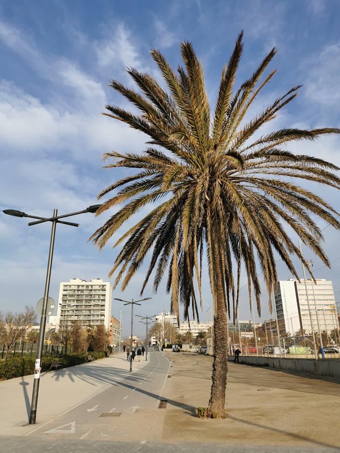 Huawei Mate 30 Pro vs Mate Xs vs P30 Pro - który ze smartfonów robi najlepsze zdjęcia? 23 Huawei Mate 30 Pro vs Mate Xs vs P30 Pro - który ze smartfonów robi najlepsze zdjęcia?