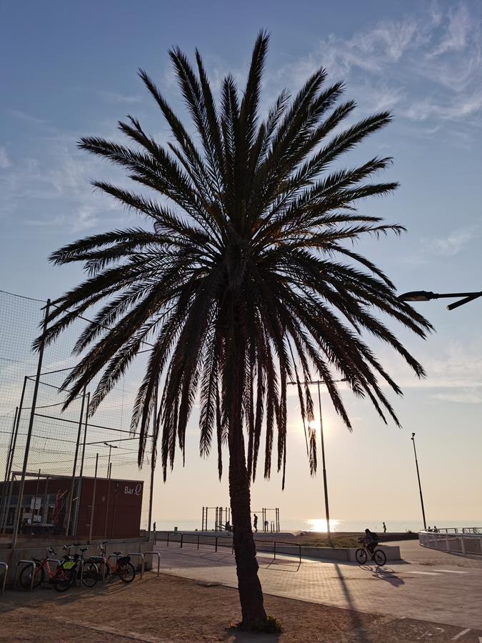 Huawei Mate 30 Pro vs Mate Xs vs P30 Pro - który ze smartfonów robi najlepsze zdjęcia? 14 Huawei Mate 30 Pro vs Mate Xs vs P30 Pro - który ze smartfonów robi najlepsze zdjęcia?