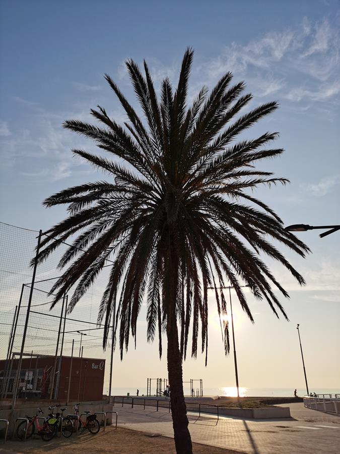 Huawei Mate 30 Pro vs Mate Xs vs P30 Pro - który ze smartfonów robi najlepsze zdjęcia? 13 Huawei Mate 30 Pro vs Mate Xs vs P30 Pro - który ze smartfonów robi najlepsze zdjęcia?