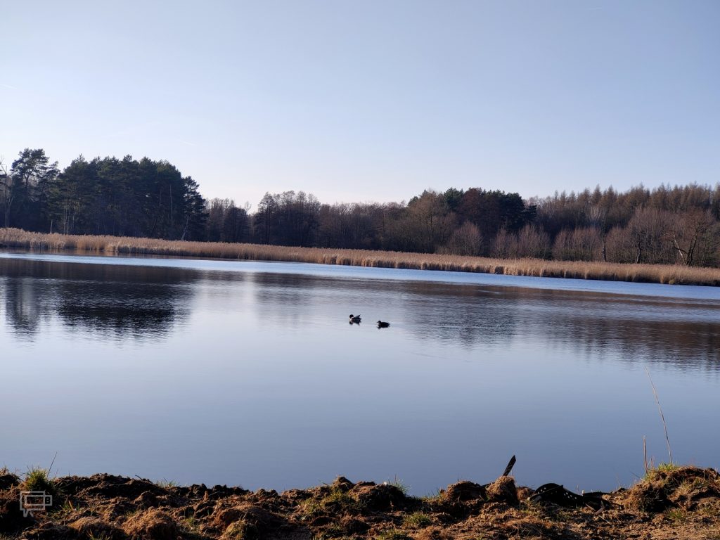 Recenzja OPPO Reno2 — trytoński król designu z płetwą 46 Recenzja OPPO Reno2 — trytoński król designu z płetwą