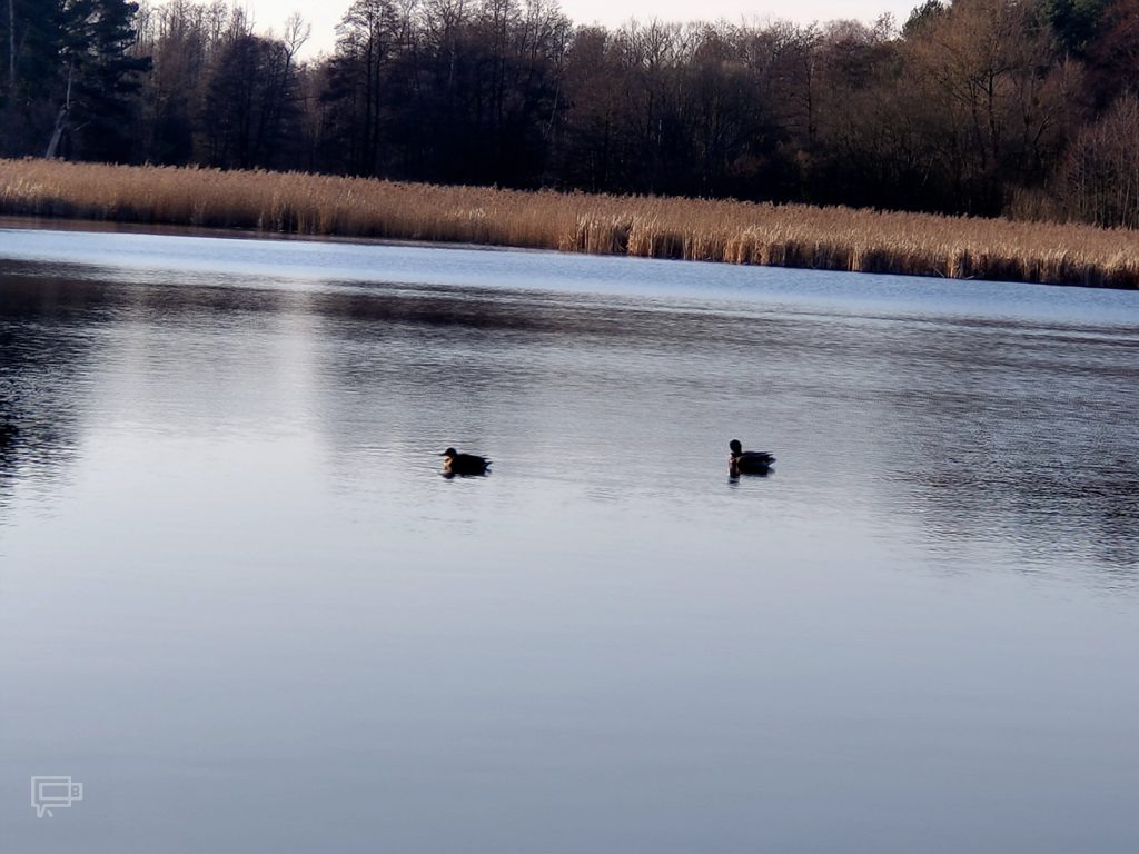 Recenzja OPPO Reno2 — trytoński król designu z płetwą 47 Recenzja OPPO Reno2 — trytoński król designu z płetwą