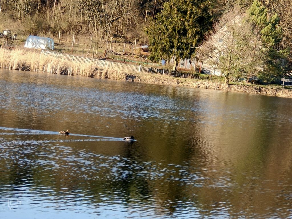 Recenzja OPPO Reno2 — trytoński król designu z płetwą 54 Recenzja OPPO Reno2 — trytoński król designu z płetwą