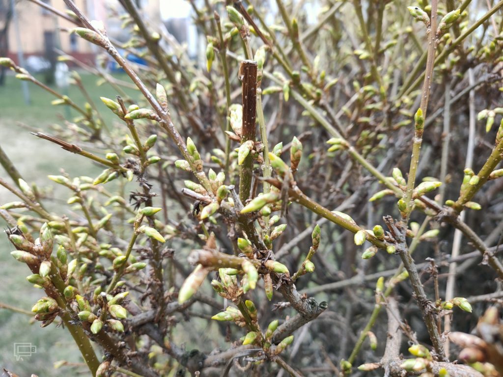 Recenzja OPPO Reno2 — trytoński król designu z płetwą 55 Recenzja OPPO Reno2 — trytoński król designu z płetwą