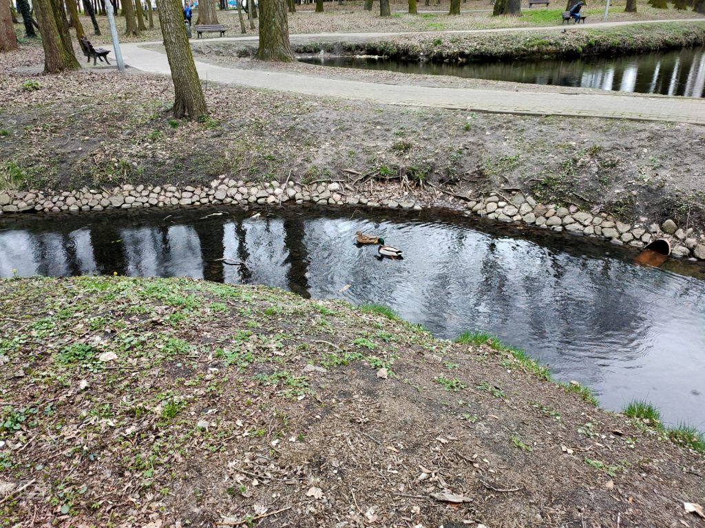 Recenzja OPPO Reno2 — trytoński król designu z płetwą 66 Recenzja OPPO Reno2 — trytoński król designu z płetwą