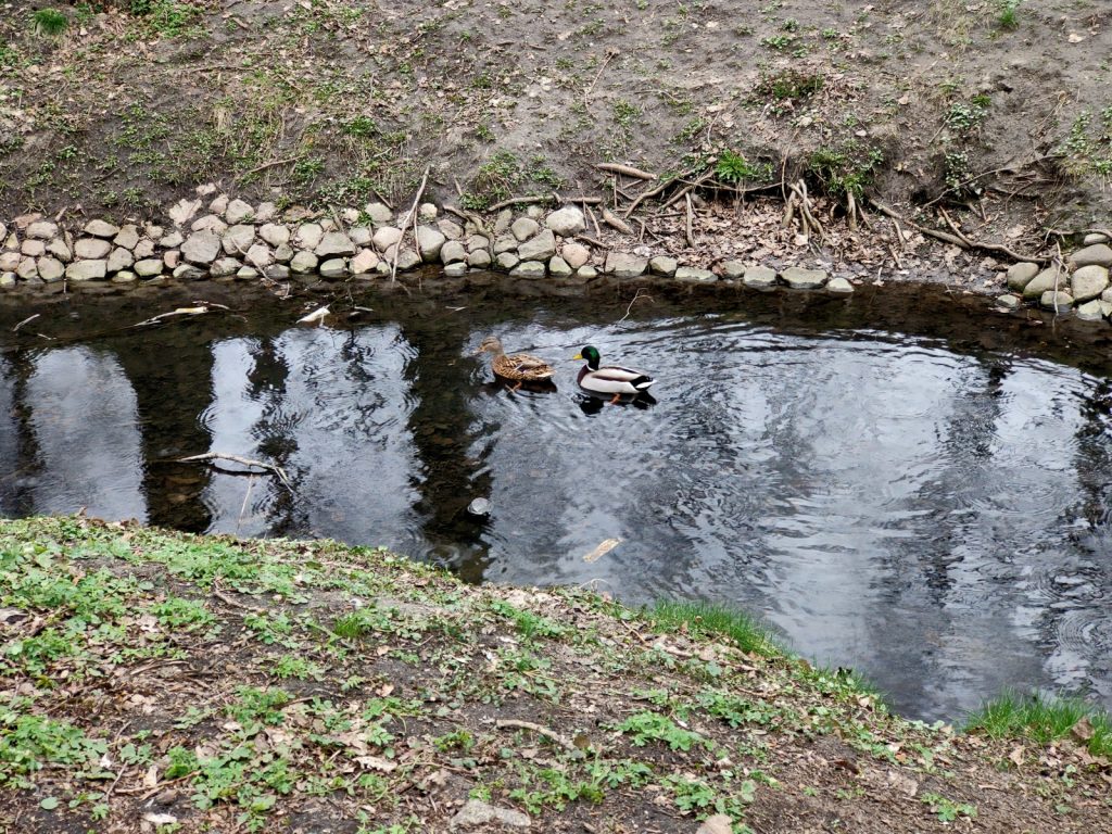 Recenzja OPPO Reno2 — trytoński król designu z płetwą 67 Recenzja OPPO Reno2 — trytoński król designu z płetwą