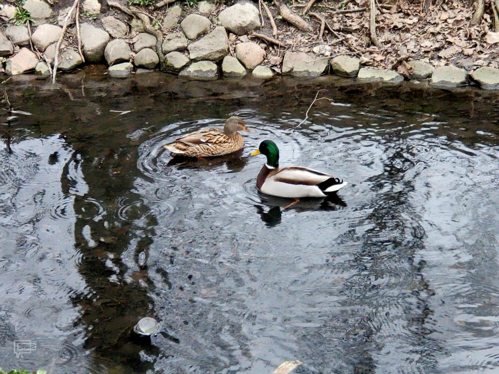 Recenzja OPPO Reno2 — trytoński król designu z płetwą 68 Recenzja OPPO Reno2 — trytoński król designu z płetwą