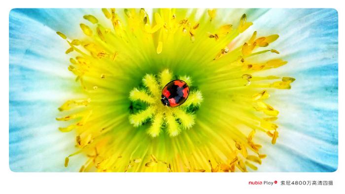 Znamy więcej szczegółów dotyczących Nubii Play! 12 Znamy więcej szczegółów dotyczących Nubii Play!