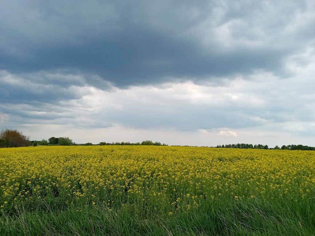 Recenzja Huawei Y6p, mało sensownego budżetowca... 25 Recenzja Huawei Y6p, mało sensownego budżetowca...