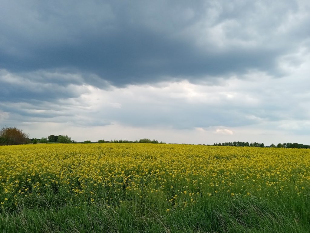 Recenzja Huawei Y6p, mało sensownego budżetowca... 26 Recenzja Huawei Y6p, mało sensownego budżetowca...