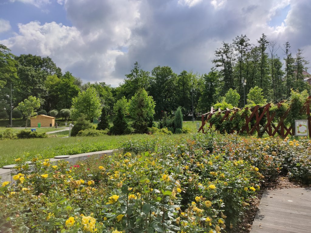 Recenzja realme X50 Pro. Jak sprawdza się jeden z najtańszych tegorocznych flagowców? 40 Recenzja realme X50 Pro. Jak sprawdza się jeden z najtańszych tegorocznych flagowców?