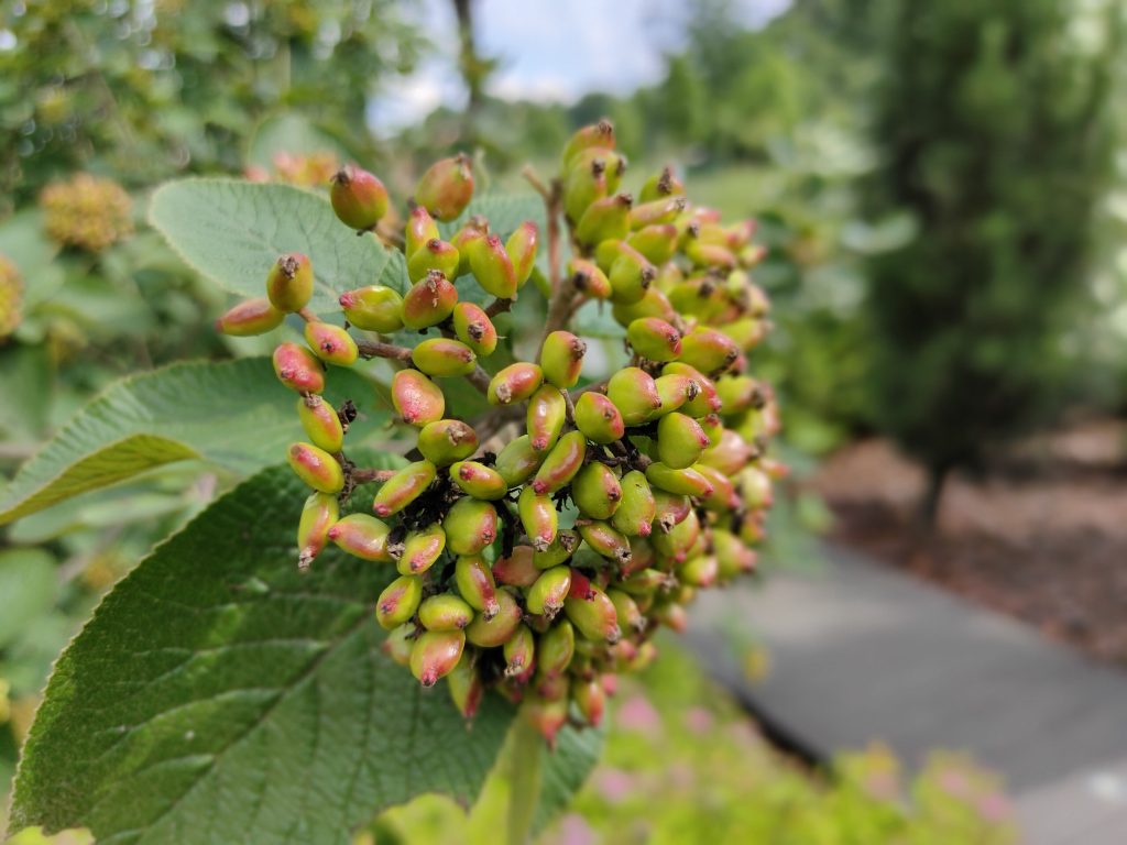 Recenzja realme X50 Pro. Jak sprawdza się jeden z najtańszych tegorocznych flagowców? 44 Recenzja realme X50 Pro. Jak sprawdza się jeden z najtańszych tegorocznych flagowców?