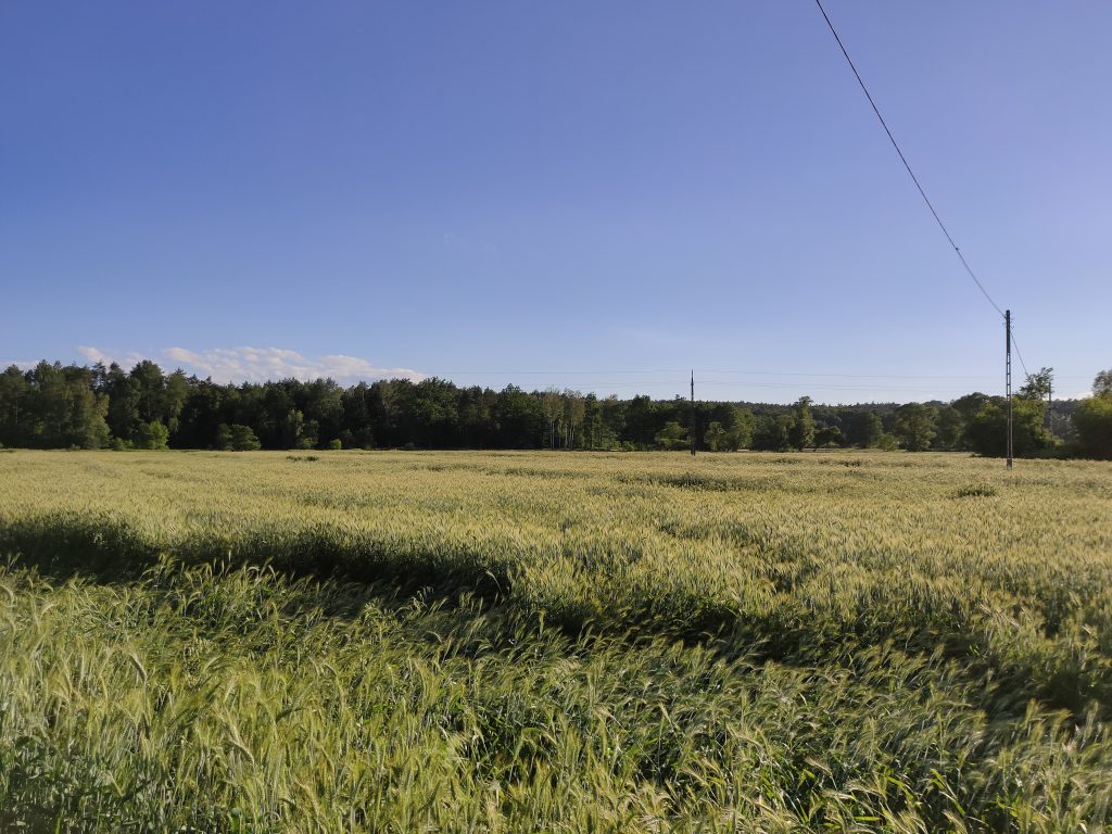 Recenzja realme X50 Pro. Jak sprawdza się jeden z najtańszych tegorocznych flagowców? 45 Recenzja realme X50 Pro. Jak sprawdza się jeden z najtańszych tegorocznych flagowców?