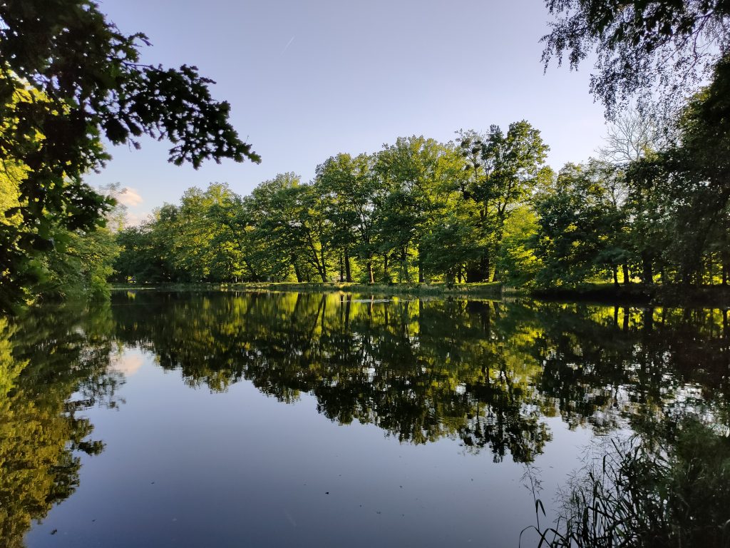 Recenzja realme X50 Pro. Jak sprawdza się jeden z najtańszych tegorocznych flagowców? 46 Recenzja realme X50 Pro. Jak sprawdza się jeden z najtańszych tegorocznych flagowców?