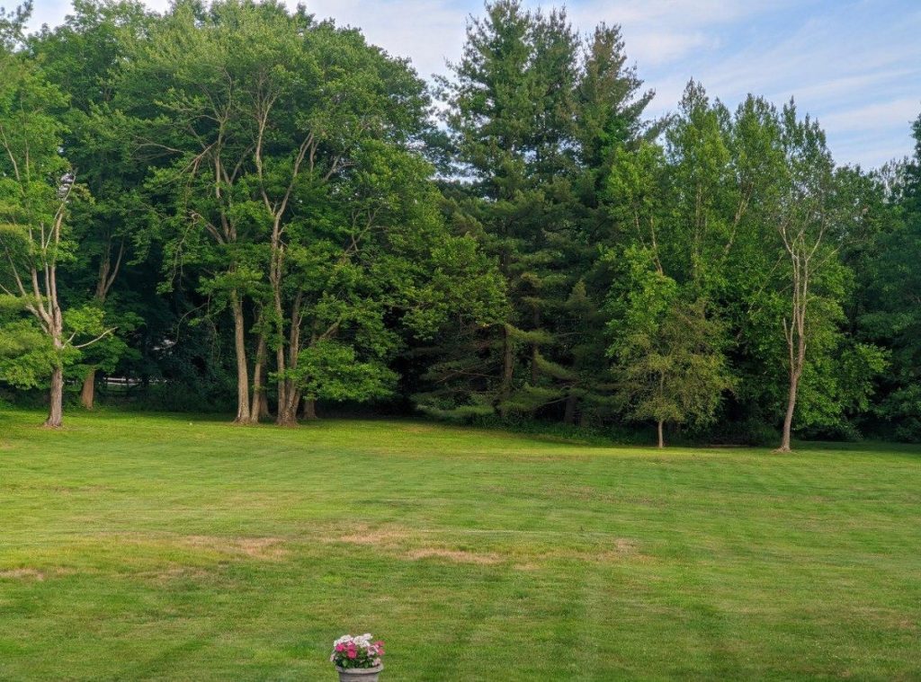 Google Camera na OnePlus 8 już jest i współpracuje z prawie wszystkimi aparatami 14 Google Camera na OnePlus 8 już jest i współpracuje z prawie wszystkimi aparatami