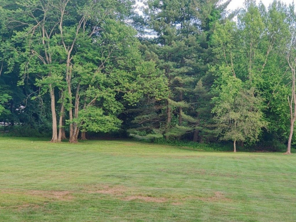 Google Camera na OnePlus 8 już jest i współpracuje z prawie wszystkimi aparatami 13 Google Camera na OnePlus 8 już jest i współpracuje z prawie wszystkimi aparatami