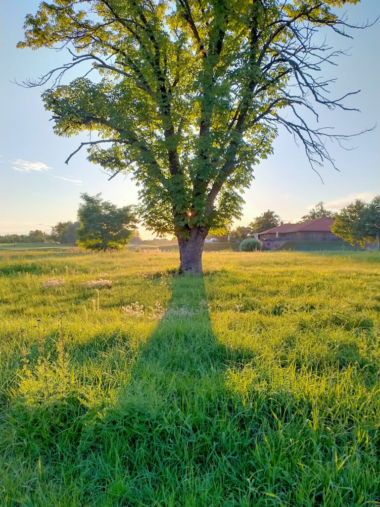 Cherlak wydajności i tytan baterii, czyli recenzja Oppo A52 36 Cherlak wydajności i tytan baterii, czyli recenzja Oppo A52