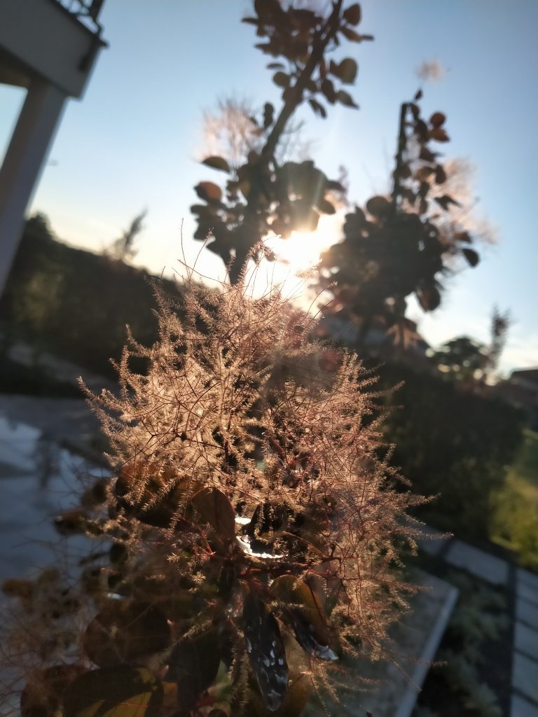 Cherlak wydajności i tytan baterii, czyli recenzja Oppo A52 34 Cherlak wydajności i tytan baterii, czyli recenzja Oppo A52