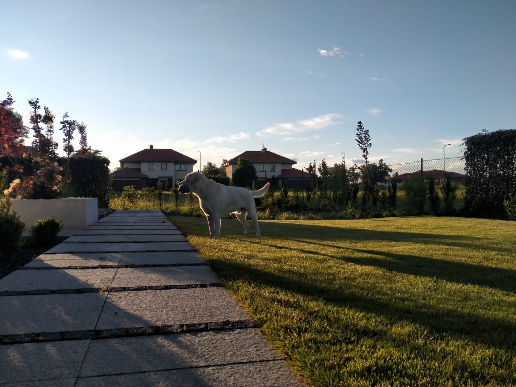 Cherlak wydajności i tytan baterii, czyli recenzja Oppo A52 33 Cherlak wydajności i tytan baterii, czyli recenzja Oppo A52