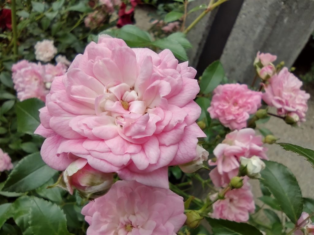 Smartfon pełen sprzeczności, czyli recenzja Motoroli One Fusion+ 35 Smartfon pełen sprzeczności, czyli recenzja Motoroli One Fusion+