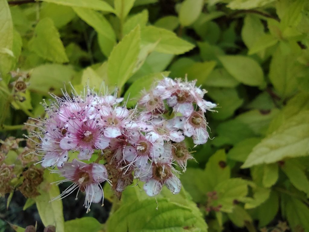 Smartfon pełen sprzeczności, czyli recenzja Motoroli One Fusion+ 34 Smartfon pełen sprzeczności, czyli recenzja Motoroli One Fusion+