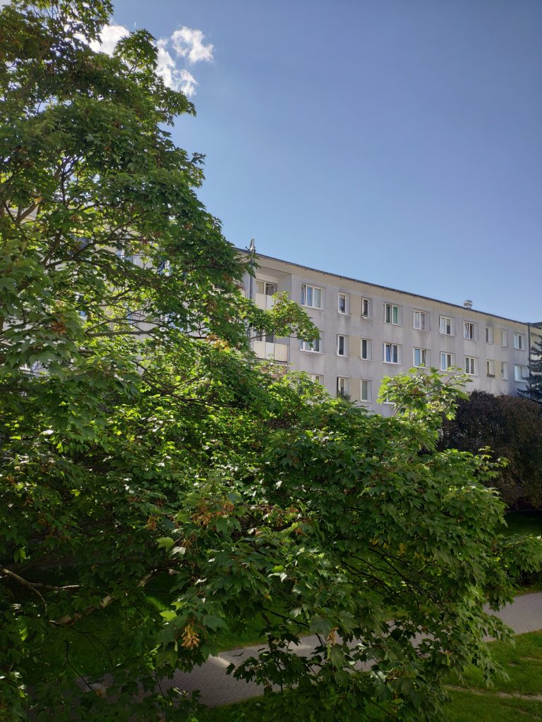 Google Camera na OnePlus 8 już jest i współpracuje z prawie wszystkimi aparatami 11 Google Camera na OnePlus 8 już jest i współpracuje z prawie wszystkimi aparatami