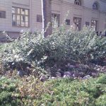 Nexus One - powROOT do korzeni #6 24 Nexus One - powROOT do korzeni #6