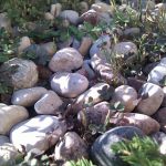 Nexus One - powROOT do korzeni #6 25 Nexus One - powROOT do korzeni #6