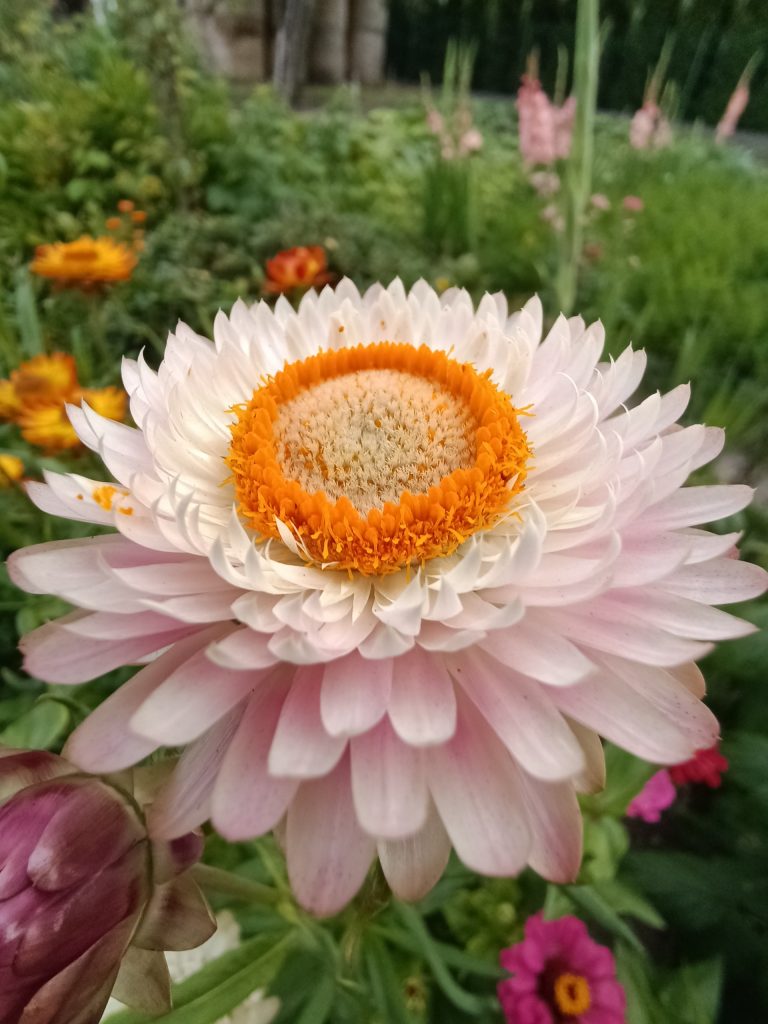 Recenzja OPPO Reno3 – nie spodziewałem się, że Reno mnie zawiedzie 34 Recenzja OPPO Reno3 – nie spodziewałem się, że Reno mnie zawiedzie