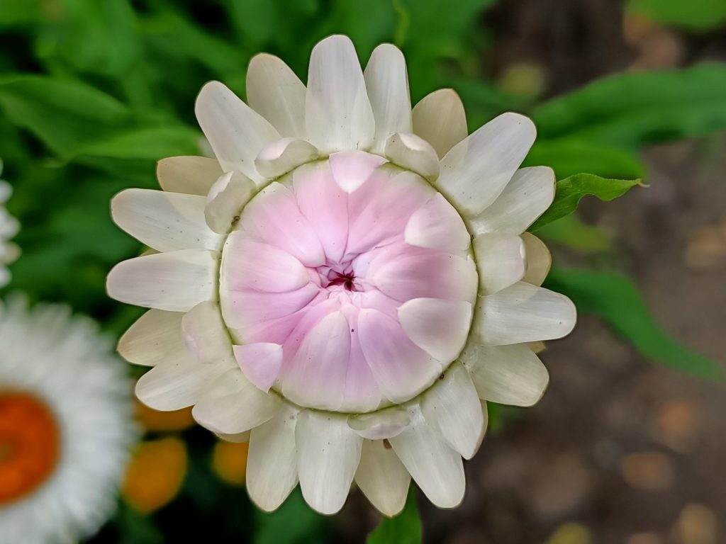 Recenzja OPPO Reno3 – nie spodziewałem się, że Reno mnie zawiedzie 29 Recenzja OPPO Reno3 – nie spodziewałem się, że Reno mnie zawiedzie