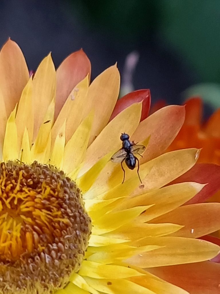 Recenzja OPPO Reno3 – nie spodziewałem się, że Reno mnie zawiedzie 24 Recenzja OPPO Reno3 – nie spodziewałem się, że Reno mnie zawiedzie