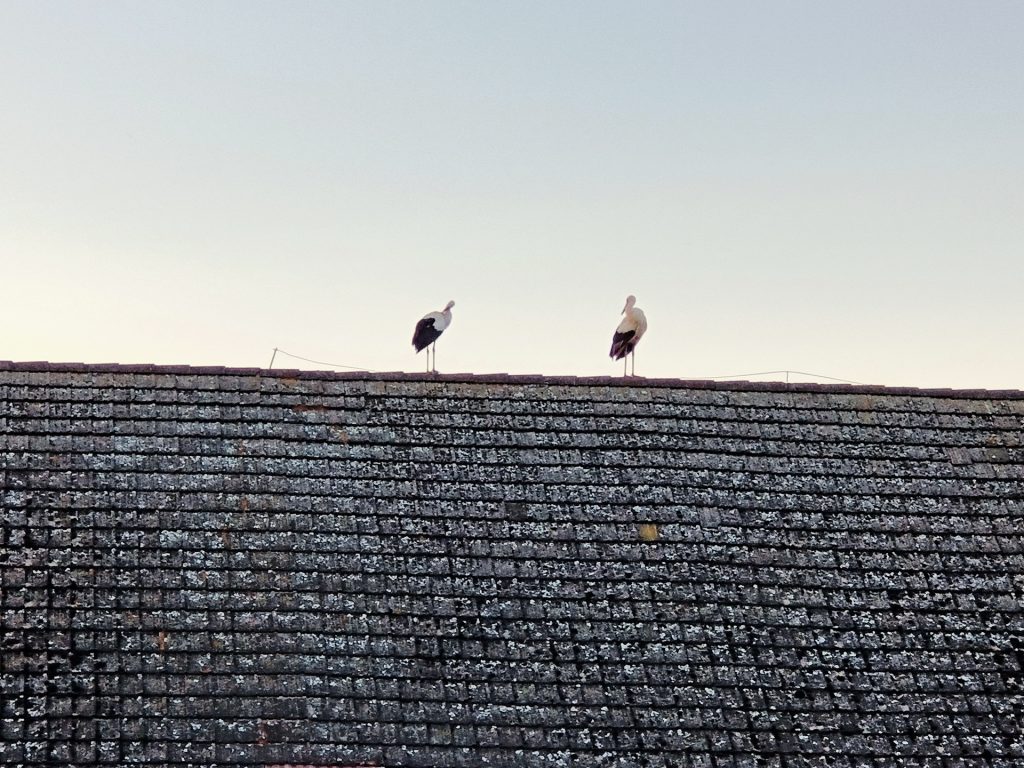 Recenzja OPPO Reno3 – nie spodziewałem się, że Reno mnie zawiedzie 23 Recenzja OPPO Reno3 – nie spodziewałem się, że Reno mnie zawiedzie