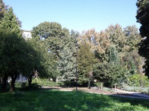 Nexus S - powROOT do korzeni #7 23 Nexus S - powROOT do korzeni #7