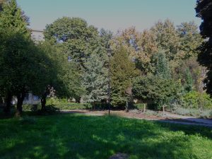 Nexus S - powROOT do korzeni #7 24 Nexus S - powROOT do korzeni #7