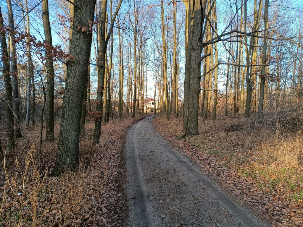 Uczeń przerósł mistrza? realme 7 5G to najwydajniejszy telefon poniżej 1000 złotych 34 Uczeń przerósł mistrza? realme 7 5G to najwydajniejszy telefon poniżej 1000 złotych