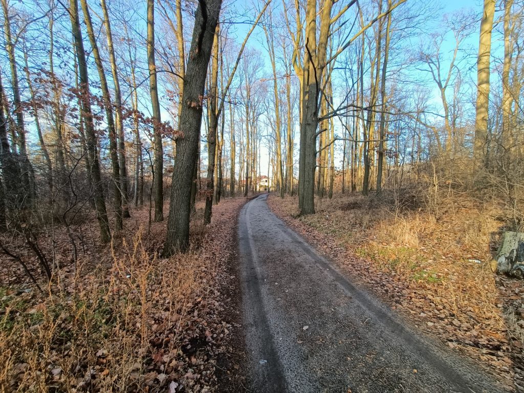 Uczeń przerósł mistrza? realme 7 5G to najwydajniejszy telefon poniżej 1000 złotych 35 Uczeń przerósł mistrza? realme 7 5G to najwydajniejszy telefon poniżej 1000 złotych