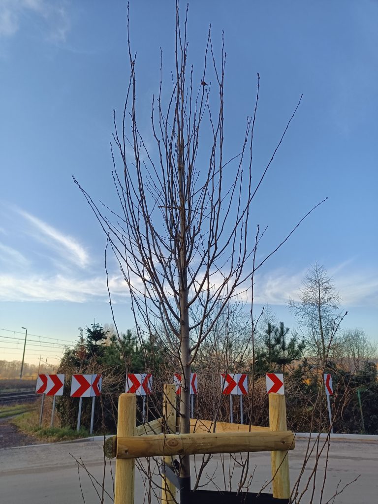 Uczeń przerósł mistrza? realme 7 5G to najwydajniejszy telefon poniżej 1000 złotych 36 Uczeń przerósł mistrza? realme 7 5G to najwydajniejszy telefon poniżej 1000 złotych