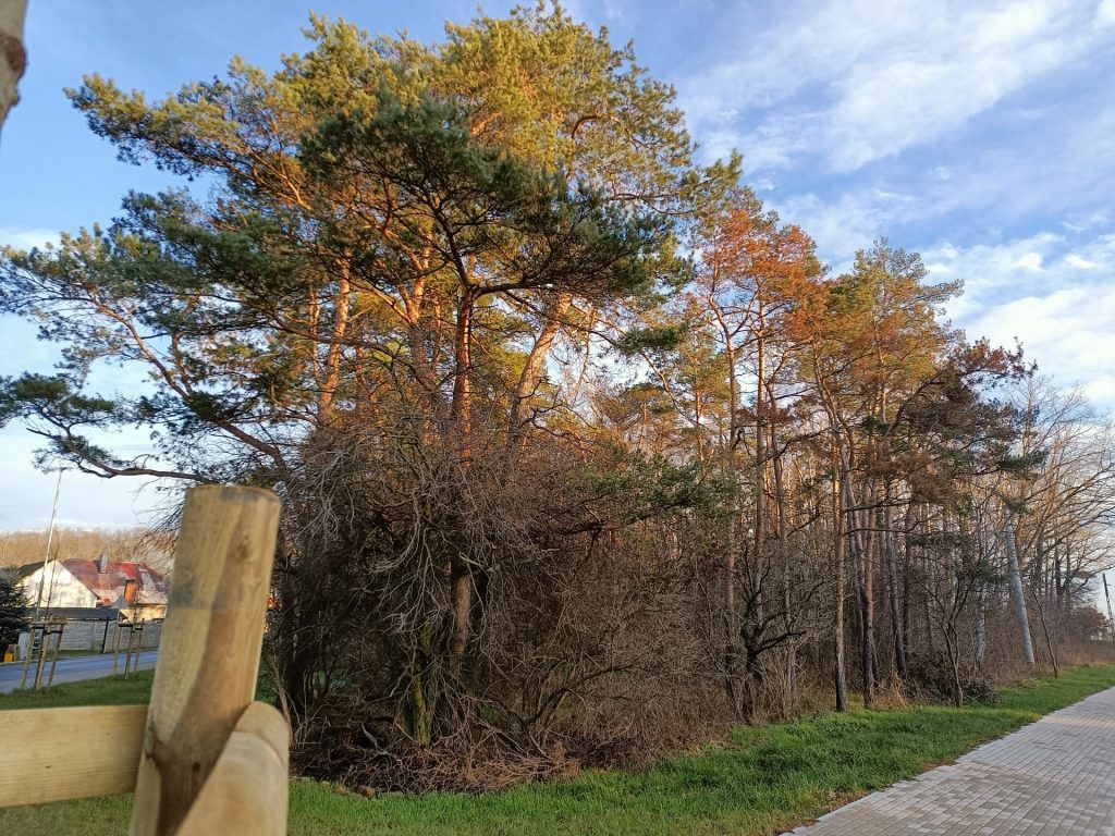 Uczeń przerósł mistrza? realme 7 5G to najwydajniejszy telefon poniżej 1000 złotych 37 Uczeń przerósł mistrza? realme 7 5G to najwydajniejszy telefon poniżej 1000 złotych