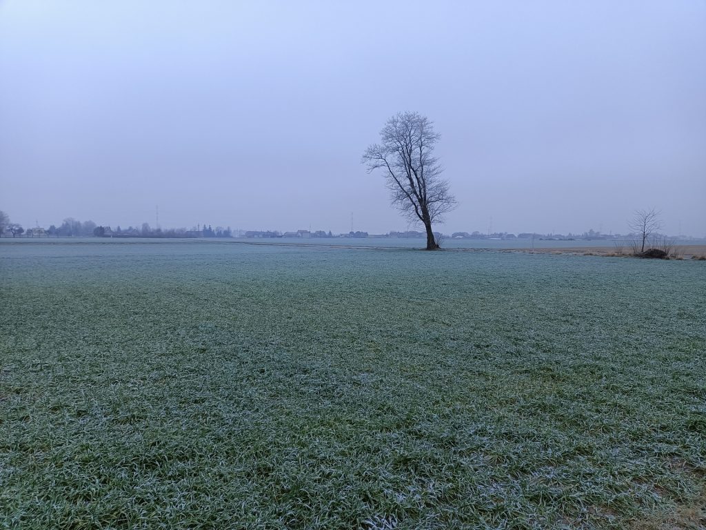 Uczeń przerósł mistrza? realme 7 5G to najwydajniejszy telefon poniżej 1000 złotych 38 Uczeń przerósł mistrza? realme 7 5G to najwydajniejszy telefon poniżej 1000 złotych