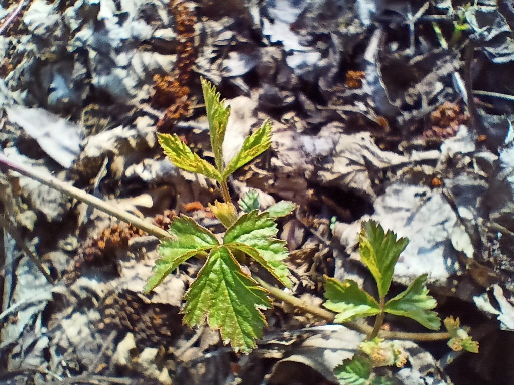 realme 8 udowadnia, że dobre urządzenie nie musi kosztować majątku 22 realme 8 udowadnia, że dobre urządzenie nie musi kosztować majątku