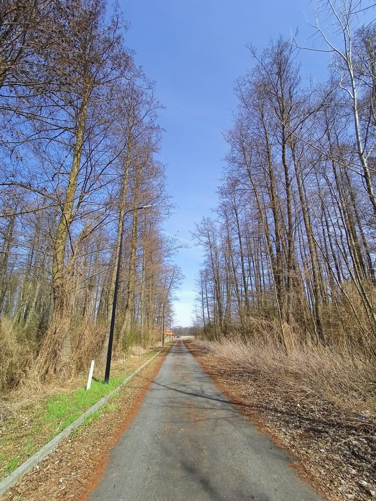 realme 8 udowadnia, że dobre urządzenie nie musi kosztować majątku 23 realme 8 udowadnia, że dobre urządzenie nie musi kosztować majątku