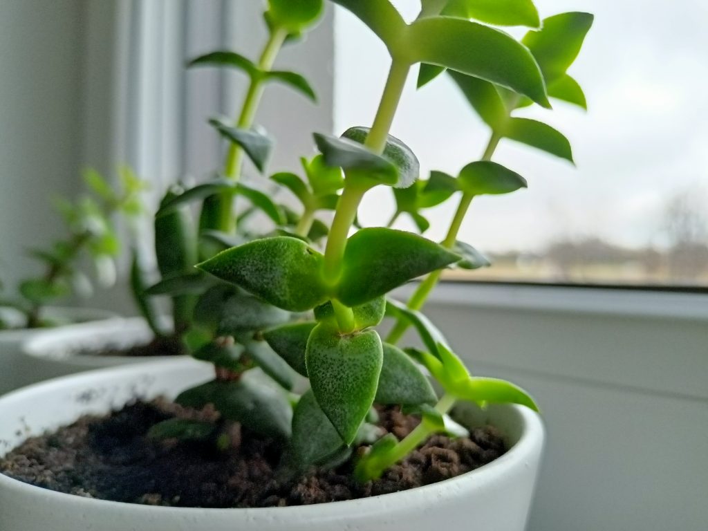 realme 8 udowadnia, że dobre urządzenie nie musi kosztować majątku 27 realme 8 udowadnia, że dobre urządzenie nie musi kosztować majątku