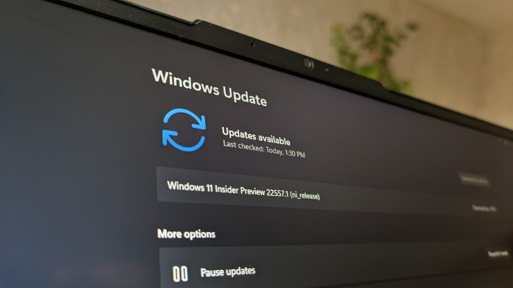 Windows Update - pobieranie aktualizacji - - Windows 11 Dev build 22543